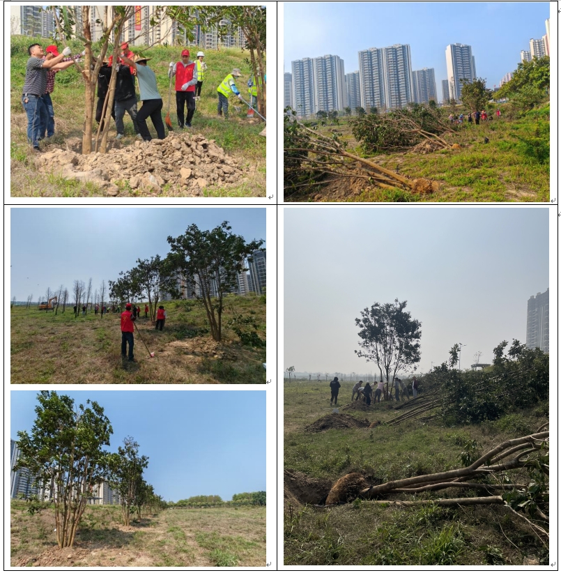 1742800782910858.png 微信截圖_20250324151913.png